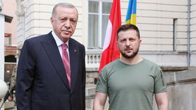 Setkání tureckého prezidenta Erdogana a ukrajinského prezidenta Zelenského (18. 8. 2022)
