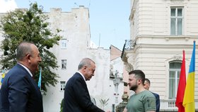 Setkání tureckého prezidenta Erdogana a ukrajinského prezidenta Zelenského (18. 8. 2022)