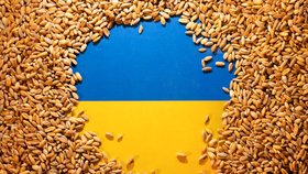 Ukrajina, světová obilnice: Snížený vývoz ohrožuje až 400 milionů lidí!