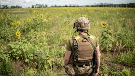 Válka na Ukrajině: Rusové odváží i ukrajinské slunečnice