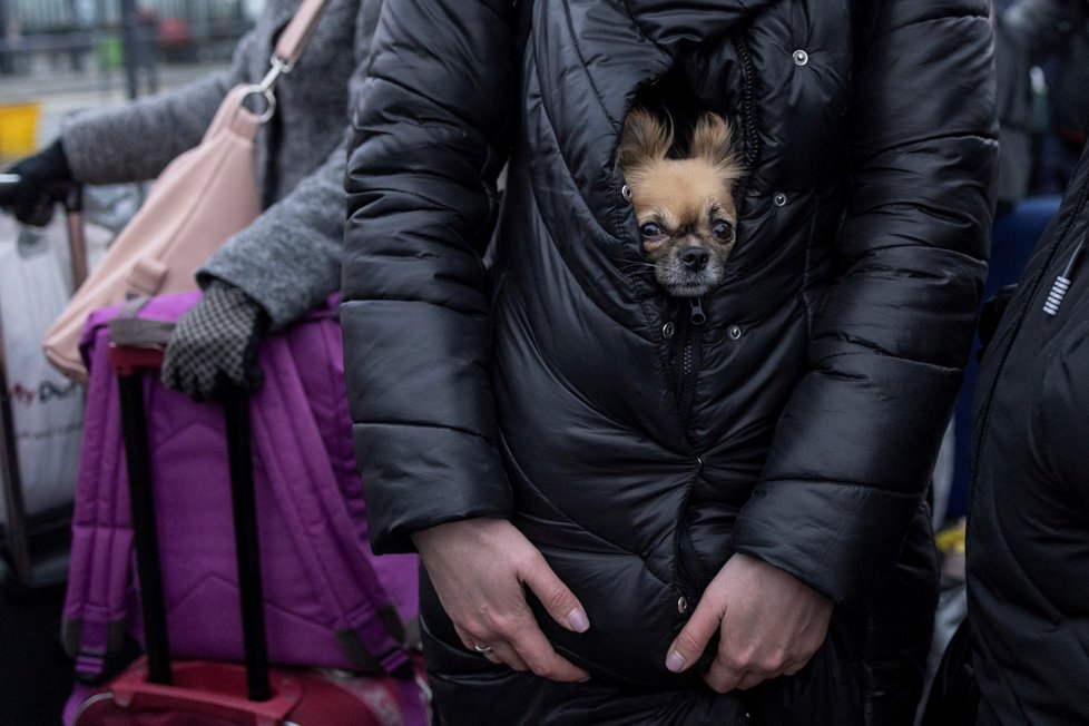 Lidé utíkají z Ukrajiny.