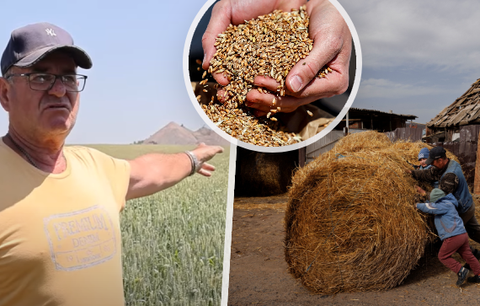 Farmář z Doněcku: „Obilí nemáme kam dát. Co si počnu, když mi seberou půdu?"