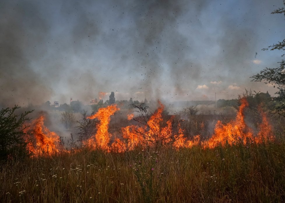 Donbas (17. 7. 2022)