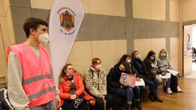 Váleční uprchlíci z Ukrajiny v Krajském asistenčním centru pomoci Ukrajině hl. m. Prahy a Středočeského kraje (10. března 2022)