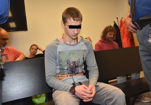 Ukrajinec Andrej S. (21) podle obžaloby bezdůvodně pobodal Radka Z. (28). Mladík kvůli vážným zraněním přišel o nohu.