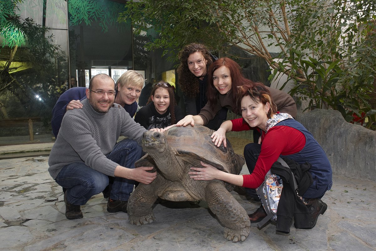 Dámy z Ulice v zoo.