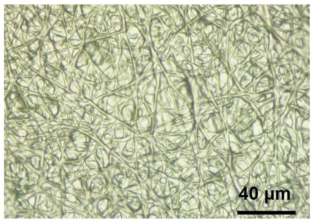 Polyuretanová „kožní“ vlákna pod mikroskopem
