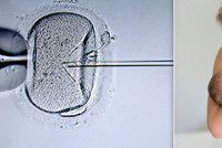 Změní záměna embryí zákony? Poslanci chtějí skoncovat s anonymitou