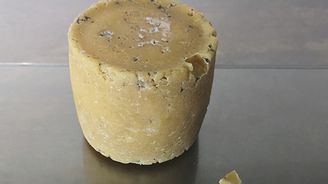 „Lidské“ sýry z bakterií v podpaží či na chodidle. Výstava láká na netradiční jídlo