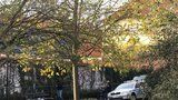 Mrtvé tělo na Františku: 38letého bezdomovce našli ležet v parku