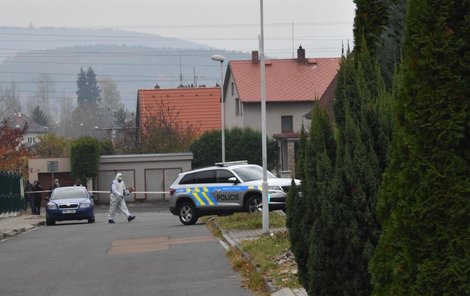 Policisté během šetření u rodinného domu v plzeňské čtvrti Bolevec.
