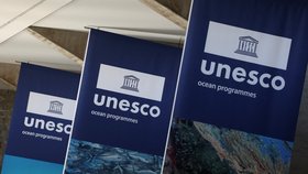 Organizace UNESCO (ilustrační foto)