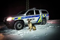 Bond, pes Bond: Policejní hafan vyčenichal u Úněšova zloděje v křoví, ten se raději vzdal
