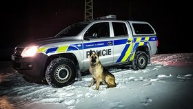 Policejní pes Bond vyčenichal v křoví zloděje nafty.