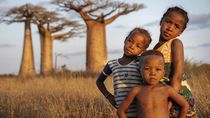 Madagaskar: Největší ostrov Afriky a nejstarší ostrov světa se pyšní mnoha unikáty
