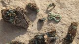 Unikátní nález archeologů v centru Ivančic: Vzácné záušnice skrývala zem 900 let! 