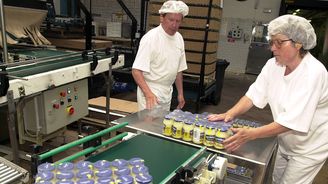 Unilever stahuje z Česka 15 procent tatarek Hellmann’s, jsou moc kyselé Unilever stahuje z Česka 15 procent tatarek Hellmann’s, jsou moc kyselé