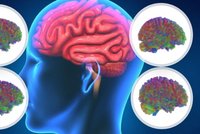 Vědci přišli s překvapivým objevem: V kolika letech jsme vlastně dospělí?