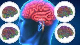 Dospívání končí až ve 30 letech, ukázal výzkum.