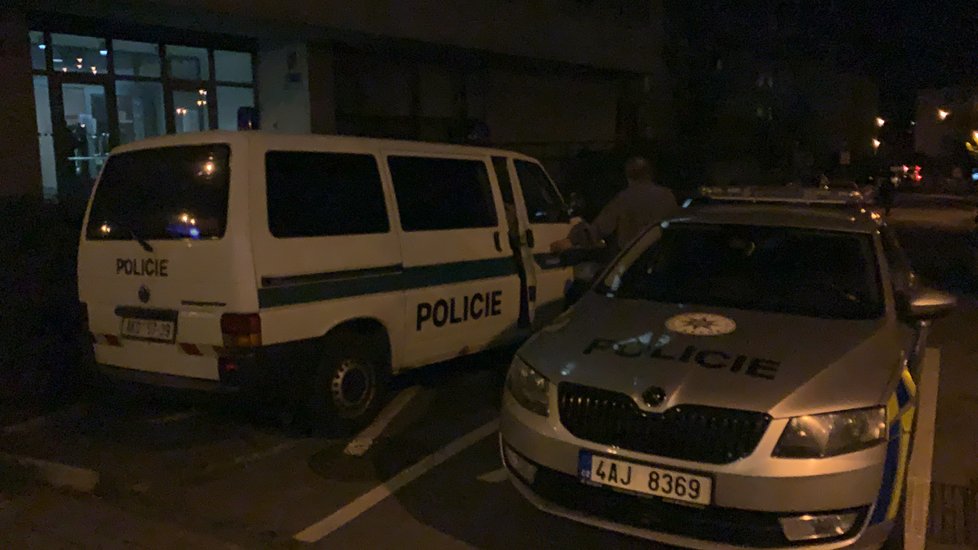 Pražští policisté řešili údajný únos, chlapci matce ale nejspíš sami utekli k prarodičům.