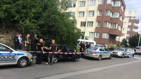 Policie prohledává okolí dopadení únosce