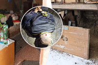 Brutální únos na Náchodsku: Nešťastníka drželi 30 hodin v opuštěném skladu!