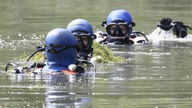 Pátrání po malé Maëlys pokračuje. Zapojeni jsou policisté, potápěči, psi i vrtulník.