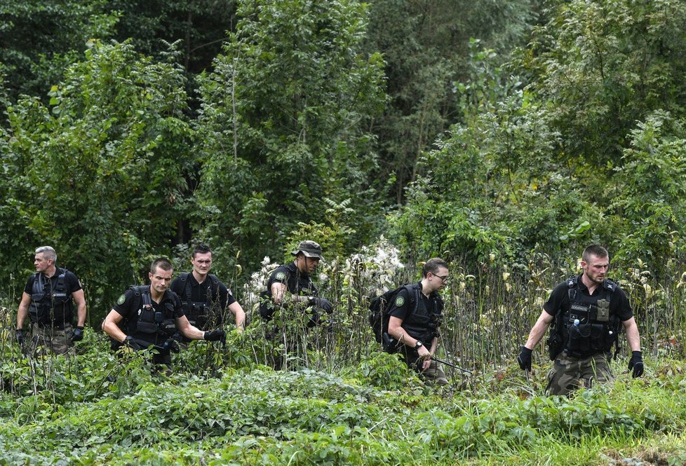 Pátrání po malé Maëlys pokračuje. Zapojeni jsou policisté, potápěči, psi i vrtulník.