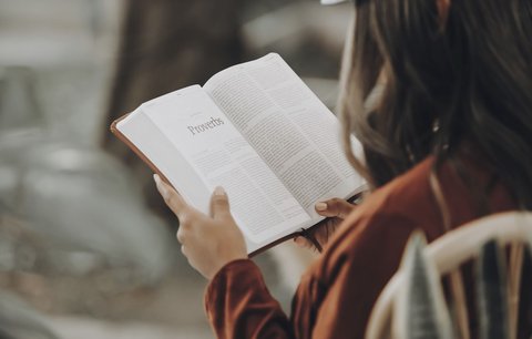 Češi vs. Slováci: Slováci nedají dopustit na odbornou literaturu, Češi čtou ale víc 