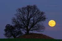 Magický podzimní rituál: Zářijový úplněk vám pomůže splnit všechna přání