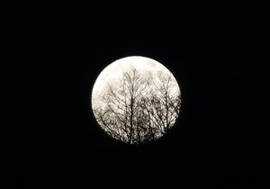 Krásný pohled na Měsíc nenechal nikoho chladným, sociální média se fotografiemi jen hemžila. Autor: Barbora Štěpánková