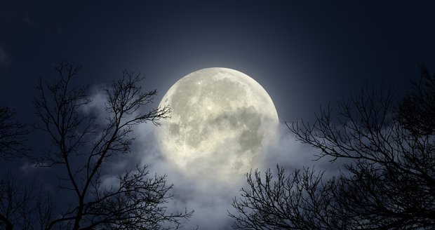 Podle zkušené odbornice si můžeme energii posledního letošního úplňku velmi dobře užít. „Úplněk by měl být i daleko příjemnější a veselejší než ten předchozí. Těšit se můžeme na radostnou, ohnivou energii. Naše nálada by se měla vylepšit, už by to neměla být ta podzimní deprese jako v listopadu,“ slibuje Eliška Landovská.