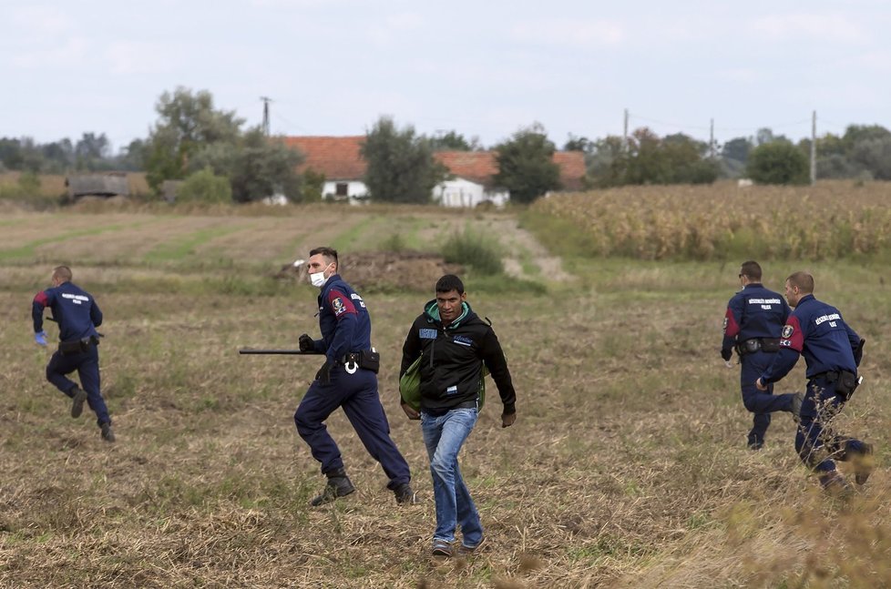 Útěk uprchlíků přes kukuřičné pole na srbsko-maďarské hranici