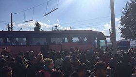 Uprchlíky z Idomeni na řecko-makedonské hranici začaly odvážet autobusy.