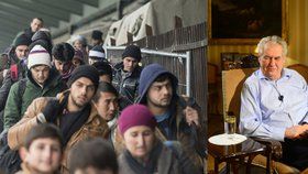 Usídlení uprchlíků v Česku podporují jenom 2 ze 100 Čechů. Prezident Miloš Zeman to vidí podobně.