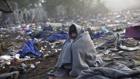 Německo už přijalo přes milion uprchlíků.