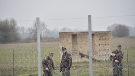 Ministr obrany na inspekci v Maďarsku. Plot je dostavěn, Maďaři se naučili vařit v českých polních kuchyních, čeští vojáci se příští týden mohou vrátit domů.