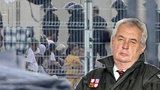 Zeman o kritice OSN: Usmál jsem se tomu. Ať opustí „teplý pelíšek“ a přijedou