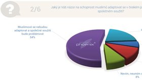 Výzkum „Krajské volby a uprchlická krize“ agentury Phoenix Research