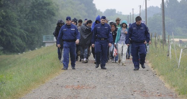 Maďaři se pustili do díla. Plot proti imigrantům už začala stavět armáda