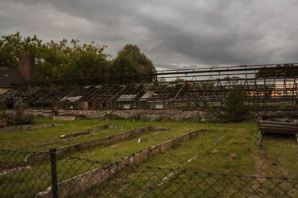 V tomto skleníku byli nuceni pracovat pod dohledem SS lidé z koncentračního tábora Dachau. Uprchlíky spolu s lidmi bez domova ubytovali v přístavku bývalého koncentráku