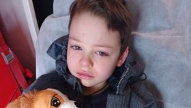 Dojemné foto chlapce z Ukrajiny: V Brně na slzy a bolest dostal pejska, uprchlíci bez léků, jejich stav se horší