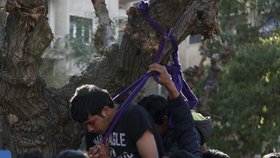 Pákistánští migranti se chtěli oběsit na stromě.
