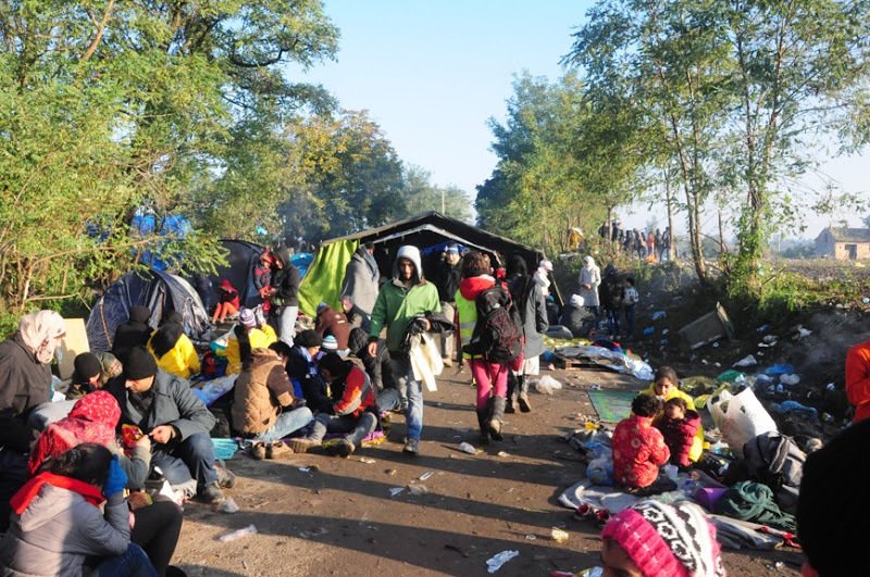 Tisíce uprchlíků, teploty padající k nule a ženy k sobě tisknou malé děti. Tak to je realita ze srbsko-chorvatských hranic. Čeští dobrovolníci jim už několik týdnu pomáhají