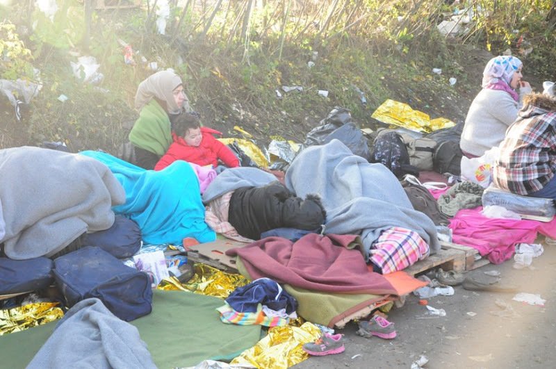 Tisíce uprchlíků, teploty padající k nule a ženy k sobě tisknou malé děti. Tak to je realita ze srbsko-chorvatských hranic. Čeští dobrovolníci tam už několik týdnů pomáhají.