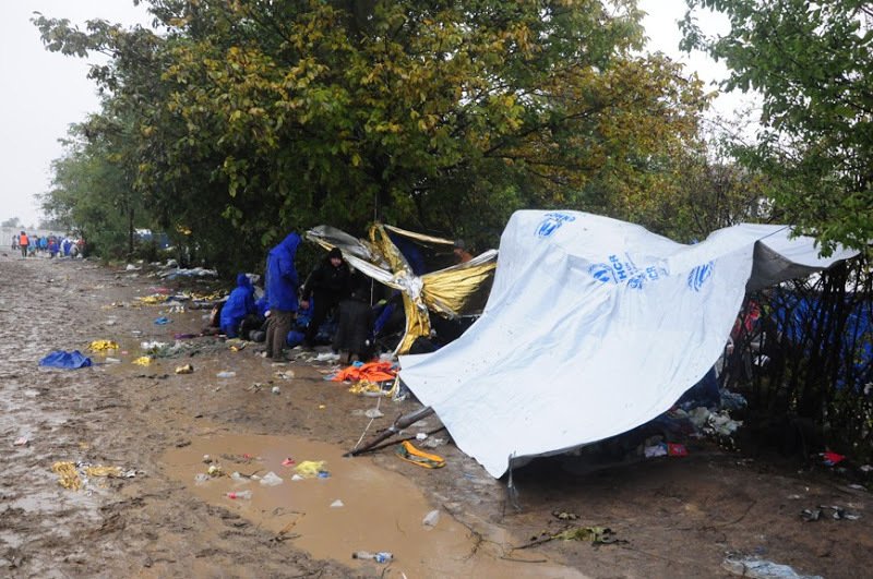 Tisíce uprchlíků, teploty padající k nule a ženy tisknoucí k sobě malé děti. Tak to je realita ze srbsko-chorvatských hranic. Čeští dobrovolníci tam už několik týdnů pomáhají.