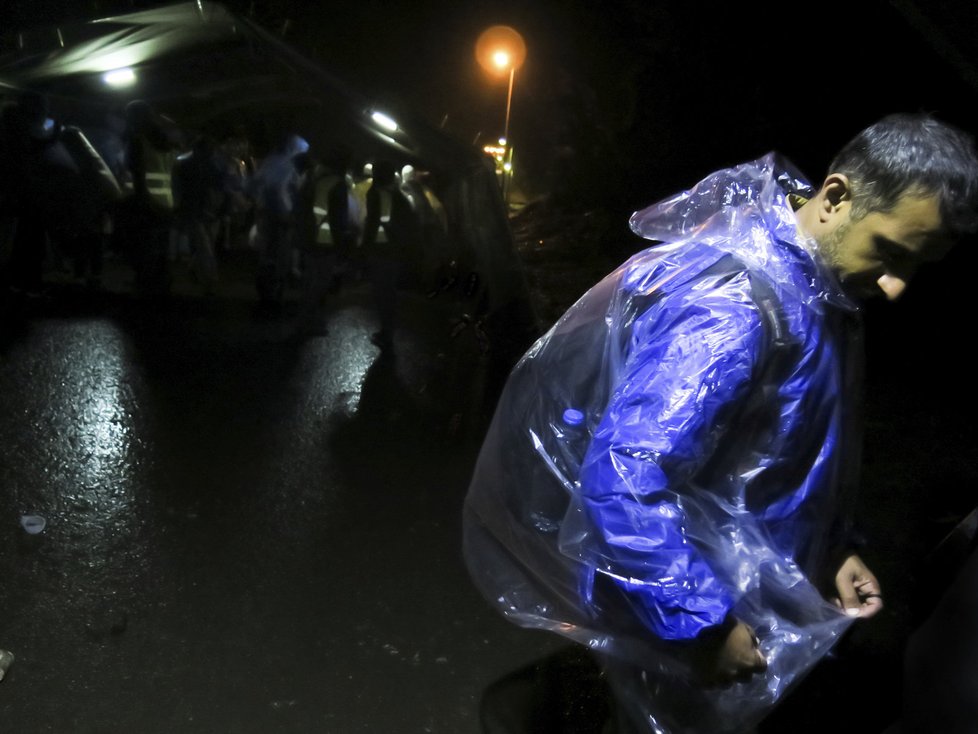 Čeští dobrovolníci jsou v první linii na srbské straně Bapske. V otevřeném dopisu vyzývají všechny evropské vlády, aby okamžitě a rozhodně jednaly.