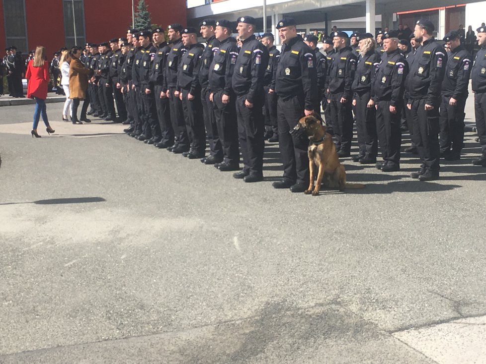 Celkem 55 policistů včetně jednoho psovoda vyrazilo do Makedonie a Srbska, kde budou pomáhat s ochranou hranic