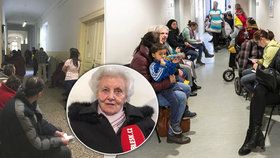 „Jdu si pro žebračenku.“ Věra (87) čeká na úřadu práce hodiny, má před sebou 70 lidí