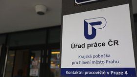 V Česku hledá práci 115 tisíc padesátníků.